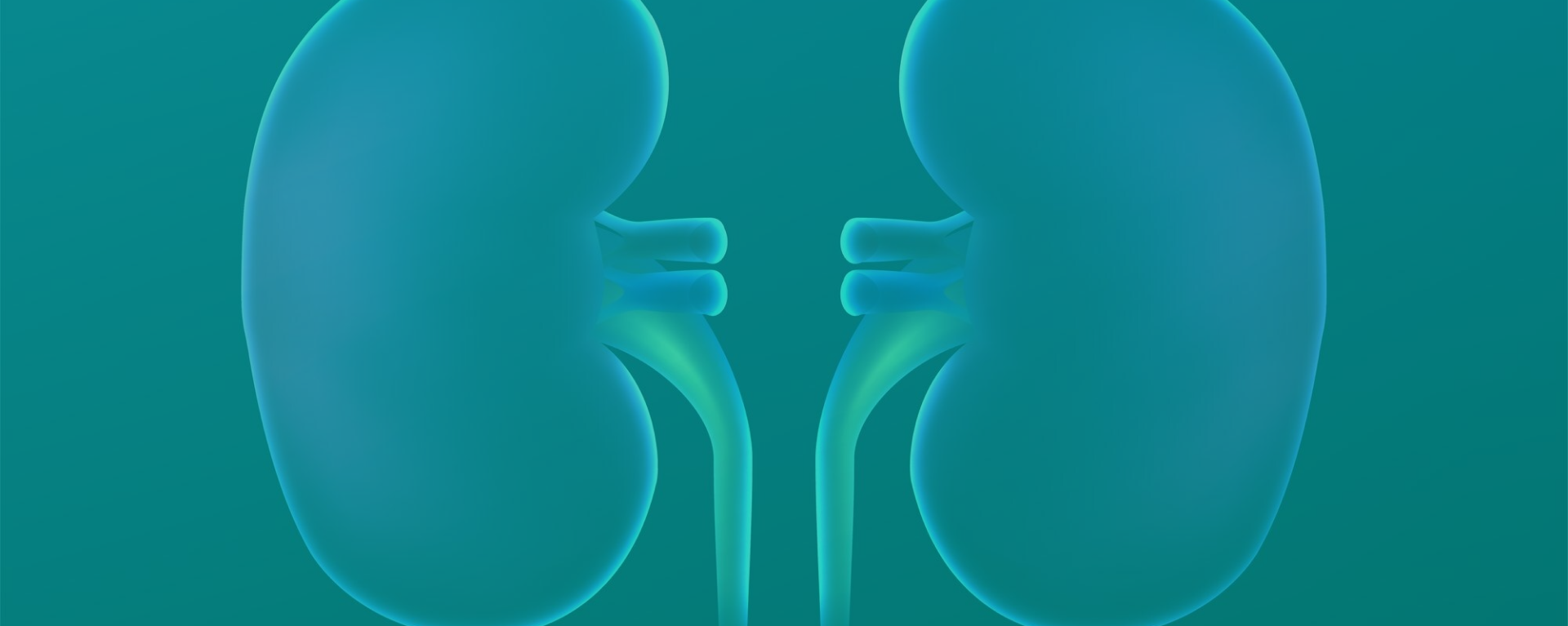 Pair of kidneys